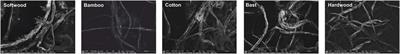 Effect of plant fibers on the physical properties of slurry-processed reconstituted tobacco
